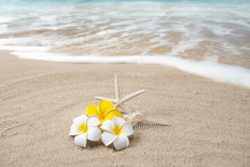 真夏の砂浜とプルメリア