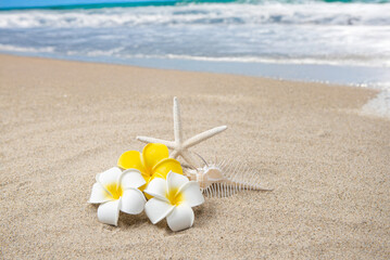 真夏の砂浜とプルメリア