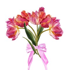tulip bouquet watercolor illustration with spring flowers and bows