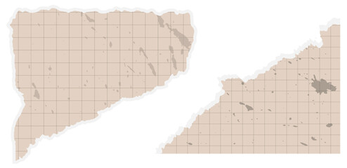 Torn or ripped paper with grid vector iillustration