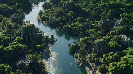 Aerial view of forest ecosystem: unique landscape with mangroves, jungle - covered islands, meandering rivers, clear sky, and distant mountains for environmental protection.