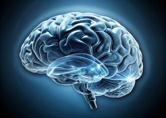 Medical Brain Scan: X-Ray Image Showing Neurological Structure with Copy Space