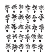 Tree Silhouette Set | Elegant Forest and Nature Vector Collection
