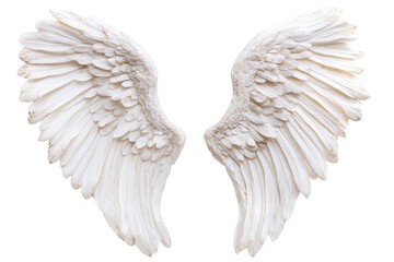 Fototapeta premium White Wings Spread With Feathered Texture, Angelic Concept And Spiritual Symbolism