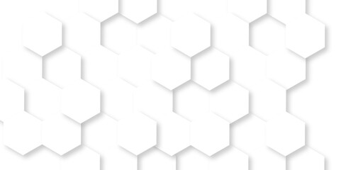 Fototapeta premium Minimalistic abstract background with hexagonal lines in light. abstract geometric science technology with template background. Modern white hexagon futuristic wallpaper. Hexagon mesh cell texture.