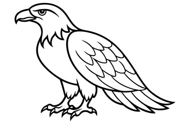 Eagle One-Line Sketch