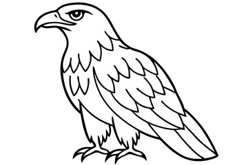 Eagle One-Line Sketch