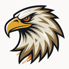 Fototapeta premium american eagle head