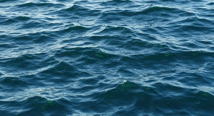 Fototapeta premium Deep Blue Ocean Water Texture Serene Waves Ripples and Aquatic Surface Background