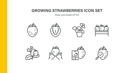 Growing Strawberries Icons. Strawberry Farming Set -Cultivation, Harvest, Seeds, Leaves, Blossom, Container, Berry, Agriculture, Planting, Editable Linear
