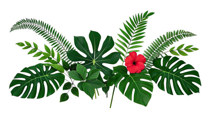 Tropical Plants , Monstera, Fern, Exotic Shrubs, and Colorful Hibiscus Flowers,  on Transparent Background, Generative AI