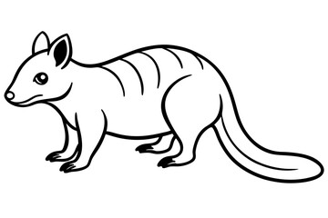 Elegant Quoll Linework