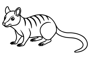 Elegant Quoll Linework