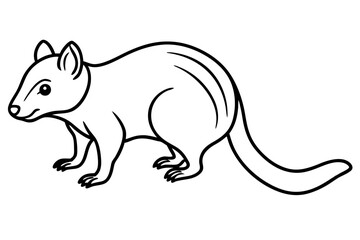 Elegant Quoll Linework