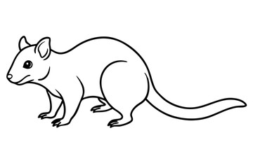 Elegant Quoll Linework