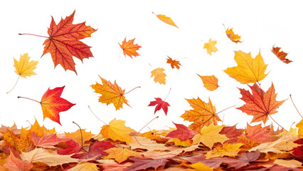 Red fallen leaves dancing in the air. The cold season of autumn and winter.