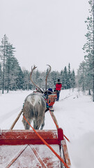 Winter day above the arctic circle