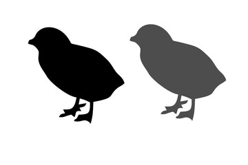 Chickens, quail silhouettes. Cock, chicken, chick. Domestic poultry egg farming. Isolated on white background. Vector illustration for farming products package, poster, banner, card design
