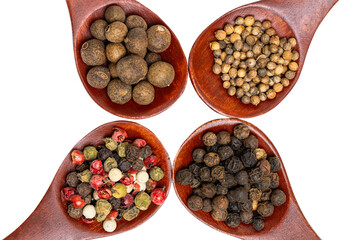 different spices in a wooden spoon