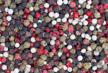 different peppercorns black, red, white