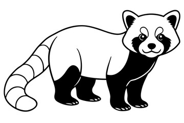 Fototapeta premium Elegant Red Panda Line Art