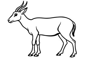 Elegant Saiga Antelope Sketch