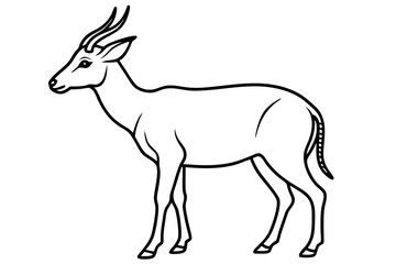 Obraz premium Elegant Saiga Antelope Sketch