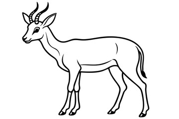 Elegant Saiga Antelope Sketch