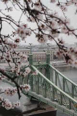 Liberty bridge Budapest