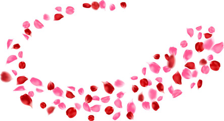 Floral spring season, romantic card, decoration love day. Pink and red rose petals