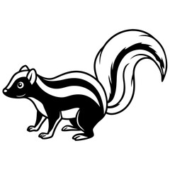 Obraz premium Elegant Skunk Line Drawing