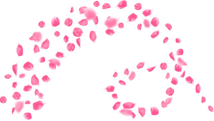 Pink rose petals flying element isolated swirl line decoration freshening in nature background