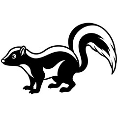 Elegant Skunk Line Drawing