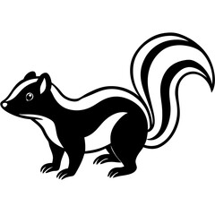 Elegant Skunk Line Drawing
