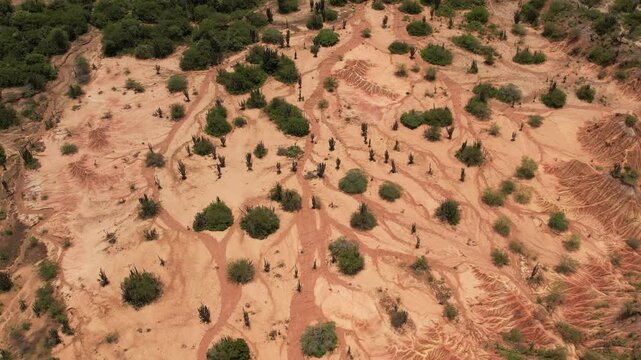 Desierto de la tatacoa - Huila Colombia en vertical