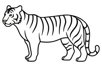 Elegant Tiger Sketch