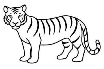 Elegant Tiger Sketch