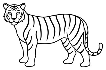 Elegant Tiger Sketch