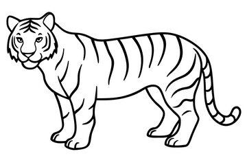 Elegant Tiger Sketch