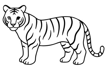 Fototapeta premium Elegant Tiger Sketch