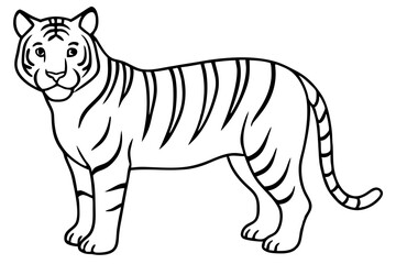 Fototapeta premium Elegant Tiger Sketch