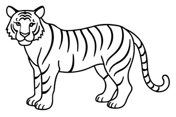 Elegant Tiger Sketch