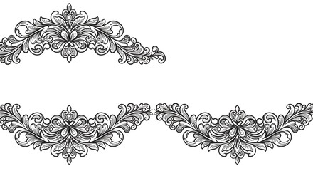 Elegant Floral Vector Swirls and Borders for Decoration and Design