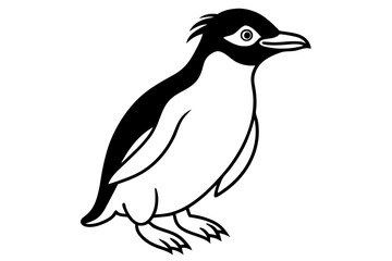 Minimalist Rockhopper