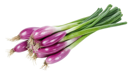 Fototapeta premium Freshly Harvested Red Spring Onions with Green Stalks on a Transparent Background, Ideal for Healthy Eating and Culinary Concepts