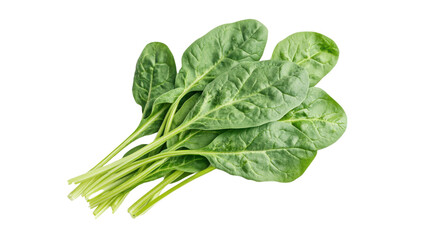 Fresh spinach leaves on a transparent background, vibrant green, healthy eating concept, perfect for food photography and healthy lifestyle designs