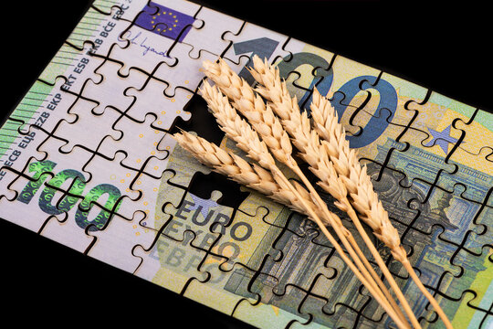 A 100 euro note made from puzzles and wheat ears