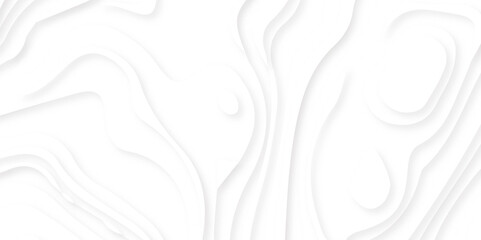 White paper cut decoration textured with wavy layers 3d topography relief background. minimal topography map light element shadow landscape wave element curve graphic papercut design.
