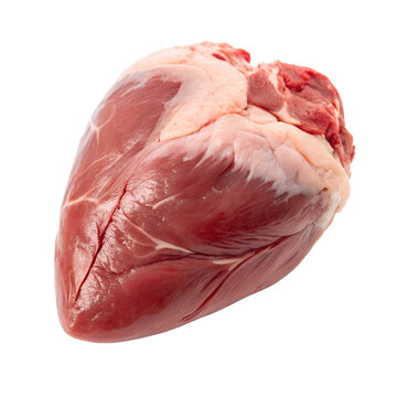 Raw beef heart isolated on transparent background