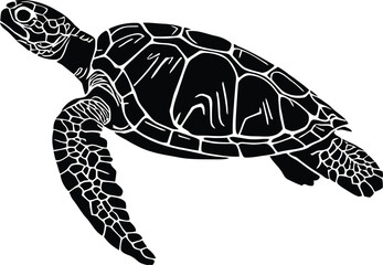 Fototapeta premium Sea Turtle Silhouette - Detailed Black and White Vector Illustration of a Marine Reptile, Ocean Wildlife, Nautical Art, Tattoo Design